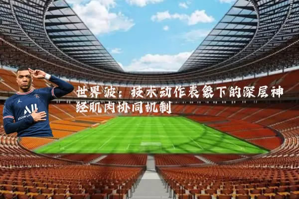 世界波:技术动作表象下的深层神经肌肉协同机制